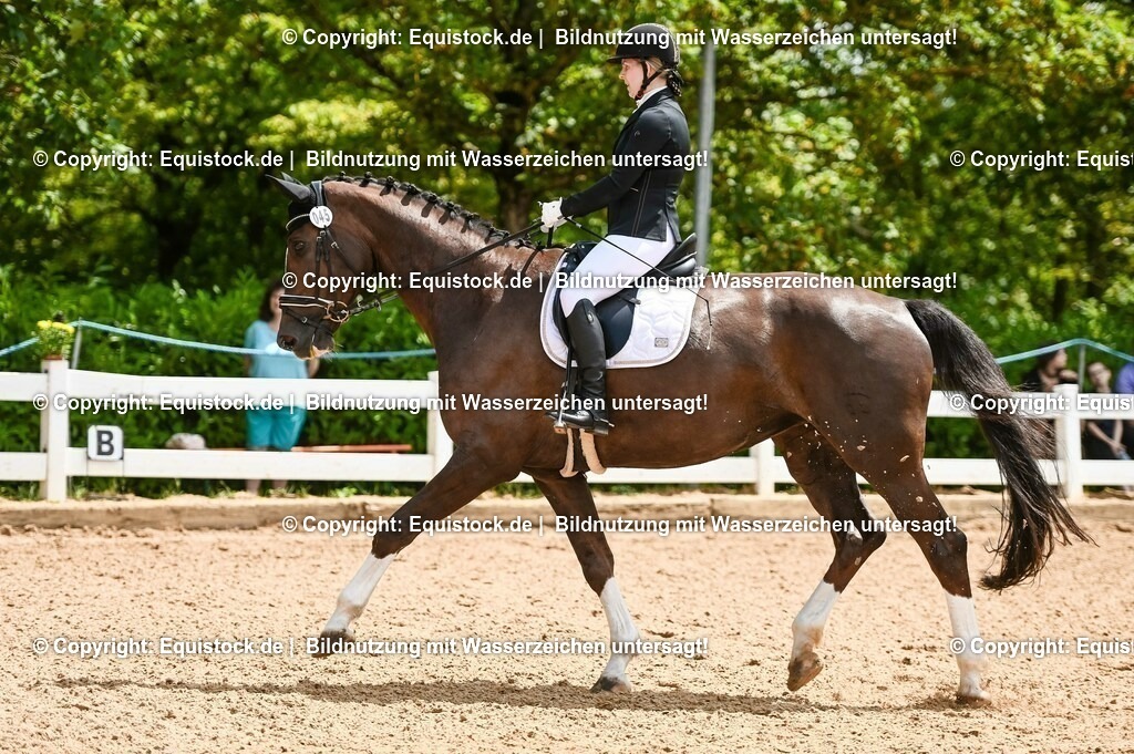20230716_03_Dressurprfg. Kl.L - Tr._0176 | equistock