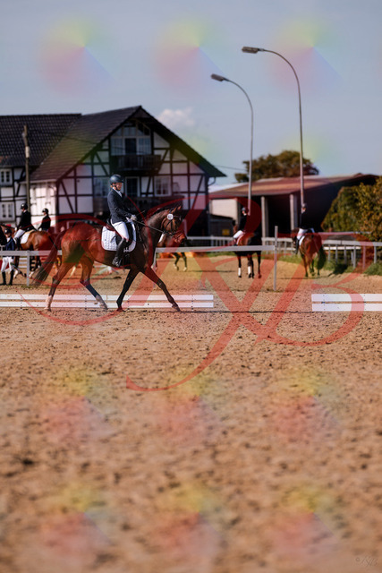 2026_10_03_Siefer-Hof_125522_Z81_44146555 | Professionelle Reitsport-, Turnier- und Eventfotografie von Robert Broda. Galerien mit ausgewählten und bearbeiteten Bildern direkt online ansehen und bestellen.