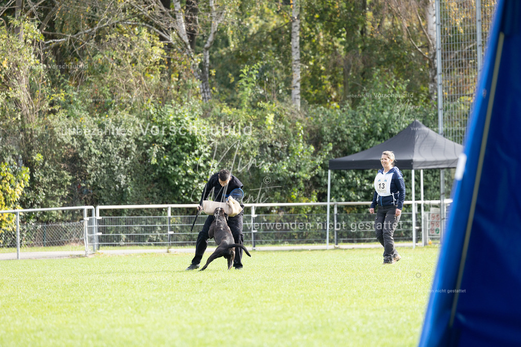 _16A5436 | Einzigartige Fotos von Hunden & Menschen –Actionfotos, Portraits, Vereinsaufnahmen & Paarshootings – authentisch, lebendig & mit Herz.