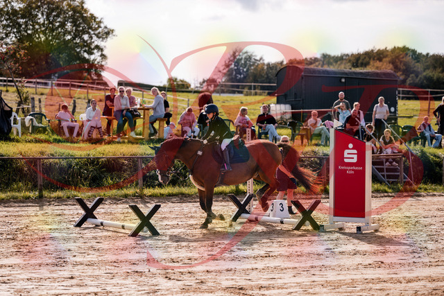 2026_10_03_Siefer-Hof_143807_Z81_07722849 | Professionelle Reitsport-, Turnier- und Eventfotografie von Robert Broda. Galerien mit ausgewählten und bearbeiteten Bildern direkt online ansehen und bestellen.