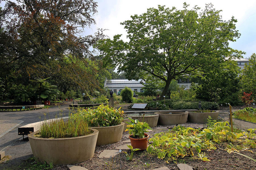 Bildlexikon Leipzig - Botanischer Garten der Universität Leipzig | Das Team hinter BILDLEXIKON LEIPZIG bündelt historische wie aktuelle Informationen über die Stadt Leipzig in Text und Bild auf einer Plattform und stellt diese der interessierten Öffentlichkeit zur Verfügung.