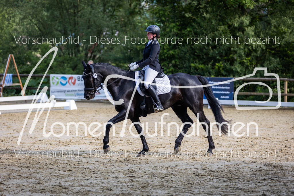 Donop24-A-Dre-081 | MomenTaufnahmen Pferdesportfotos