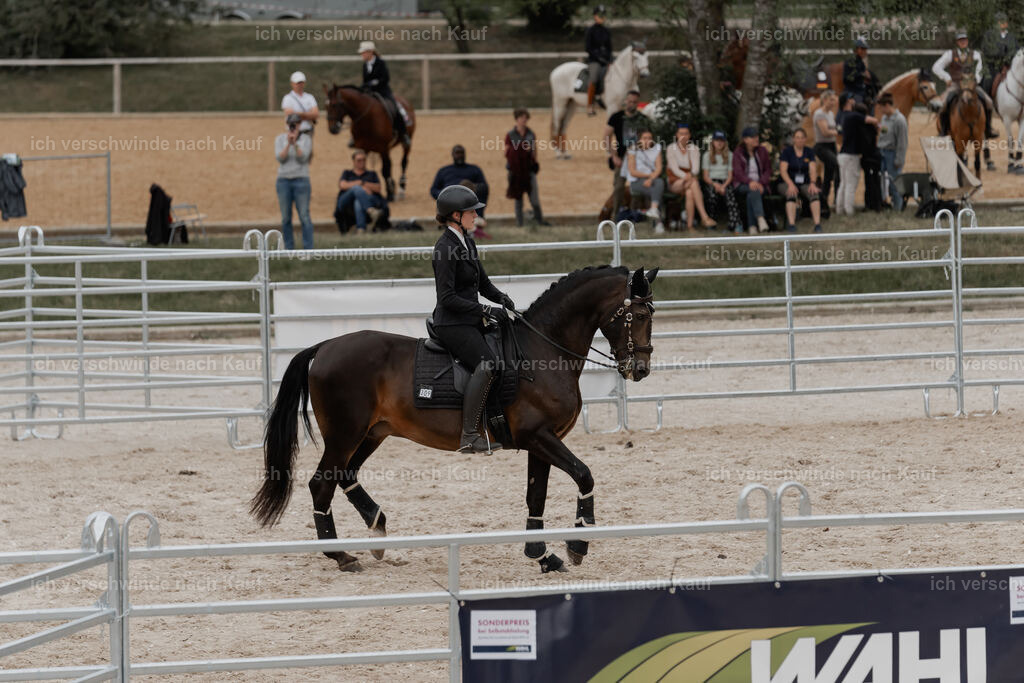 WE__Stoib_Rinder_PI2025_3064 | Pferd International München 2025