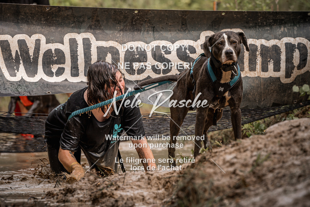 nelerasche_Hoope2026_Sa1030-1100_514 | nelerasche