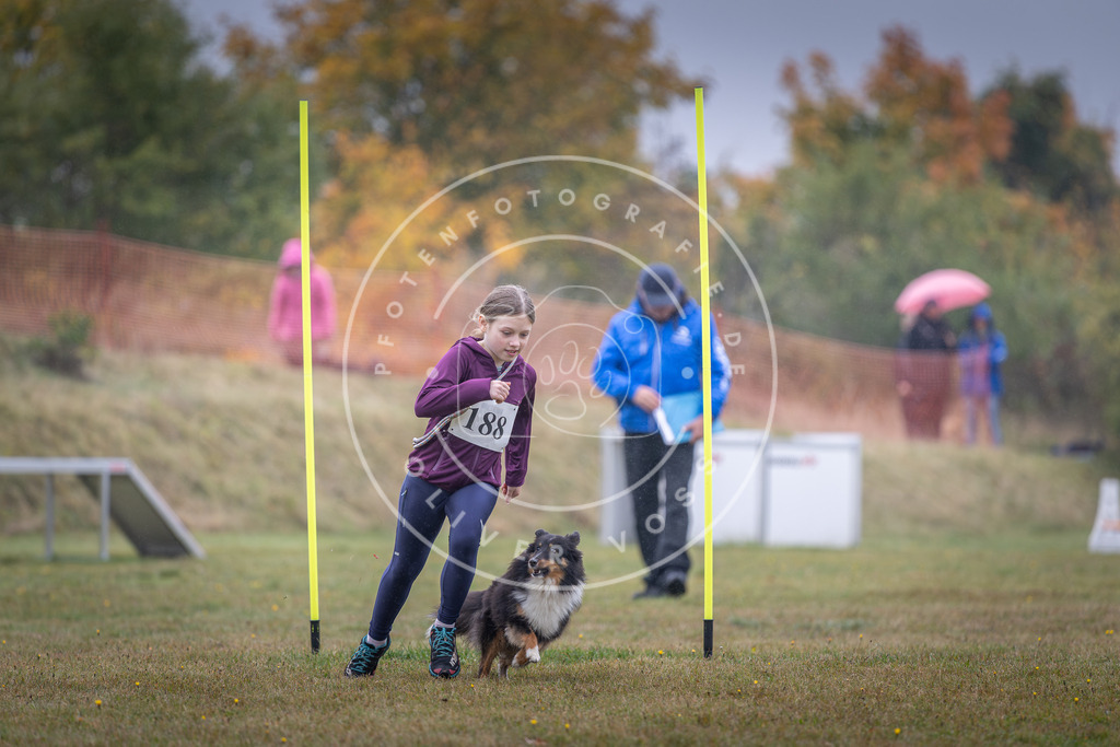 Pfotenfotografie_DV3A0197 | Hundefotografie, Tierfotograf, Pfotenfotografie, Fotoshooting Hund, Hunde Portrait, Hundesport, Hundeportraits, Heideshooting, Hunde, Sportfotograf, Hundefotograf, Turnierhundsport, THS,  - Realisiert mit Pictrs.com