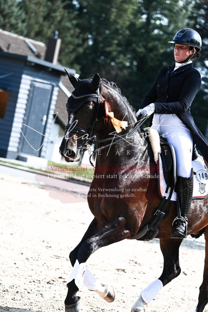 DSC_3436 | Pferde- und Turnierfotografie in Westsachsen. Pferdeportraits, Auftragszeichnungen und intuitive Kunst.