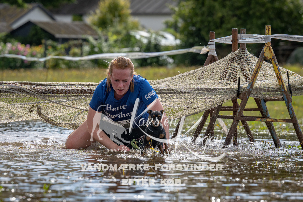 1342_ZZ90729 | kk-dogfotos