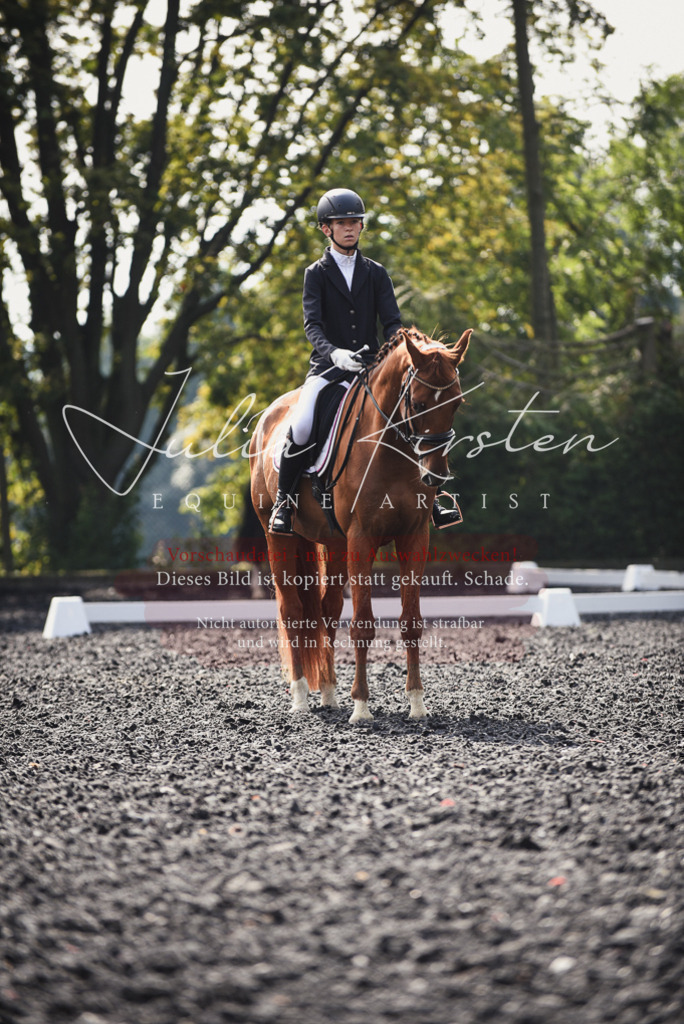 DSC_3582 | Pferde- und Turnierfotografie in Westsachsen. Pferdeportraits, Auftragszeichnungen und intuitive Kunst.