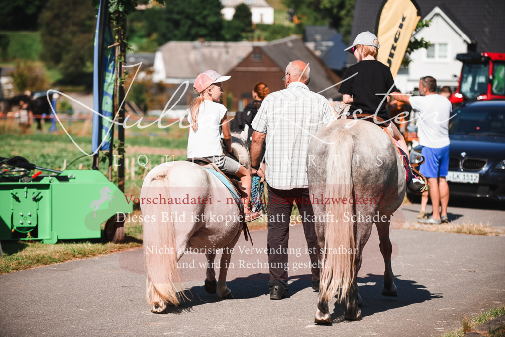 DSC_2667 | Pferde- und Turnierfotografie in Westsachsen. Pferdeportraits, Auftragszeichnungen und intuitive Kunst.