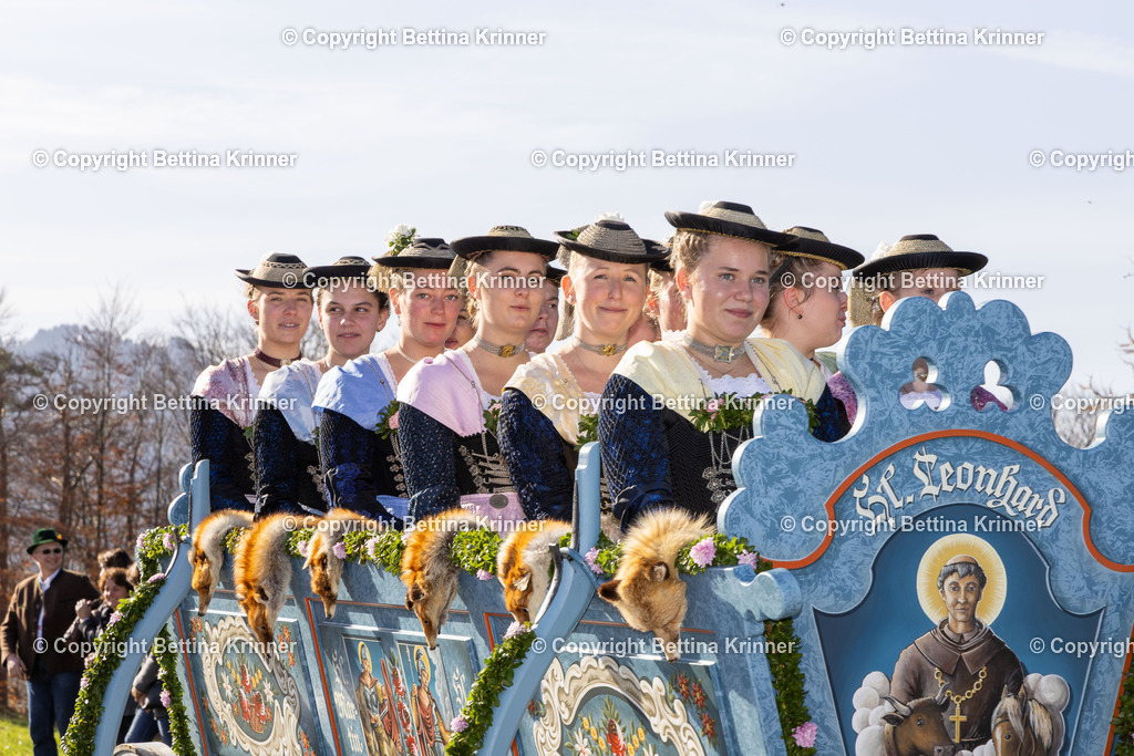 LBT24-1527 | foto-bettina-krinner - Realisiert mit Pictrs.com