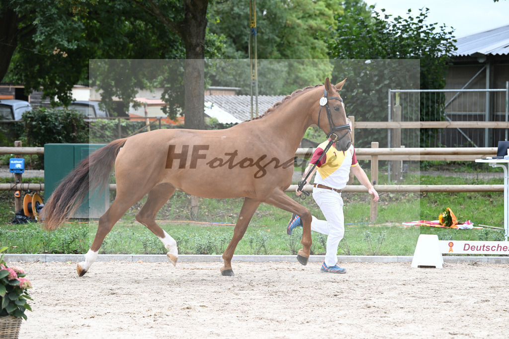 Kat-Nr. 27 Viva la Vida_Wittlinger_49221339 | hf-fotografie - Realisiert mit Pictrs.com