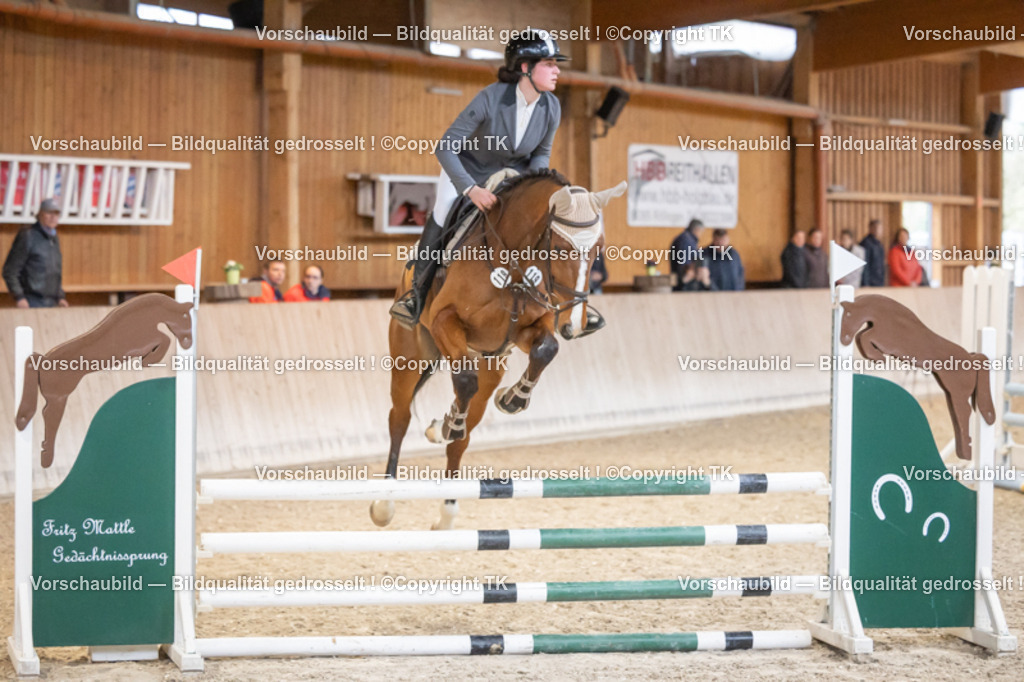 _D5A7053 | Emotionale Pferde- & People-Fotografie rund um Heidelberg, Leimen & Umgebung. Natürliche Fotos von Pferd, Mensch & Familie. Jetzt Termin sichern!