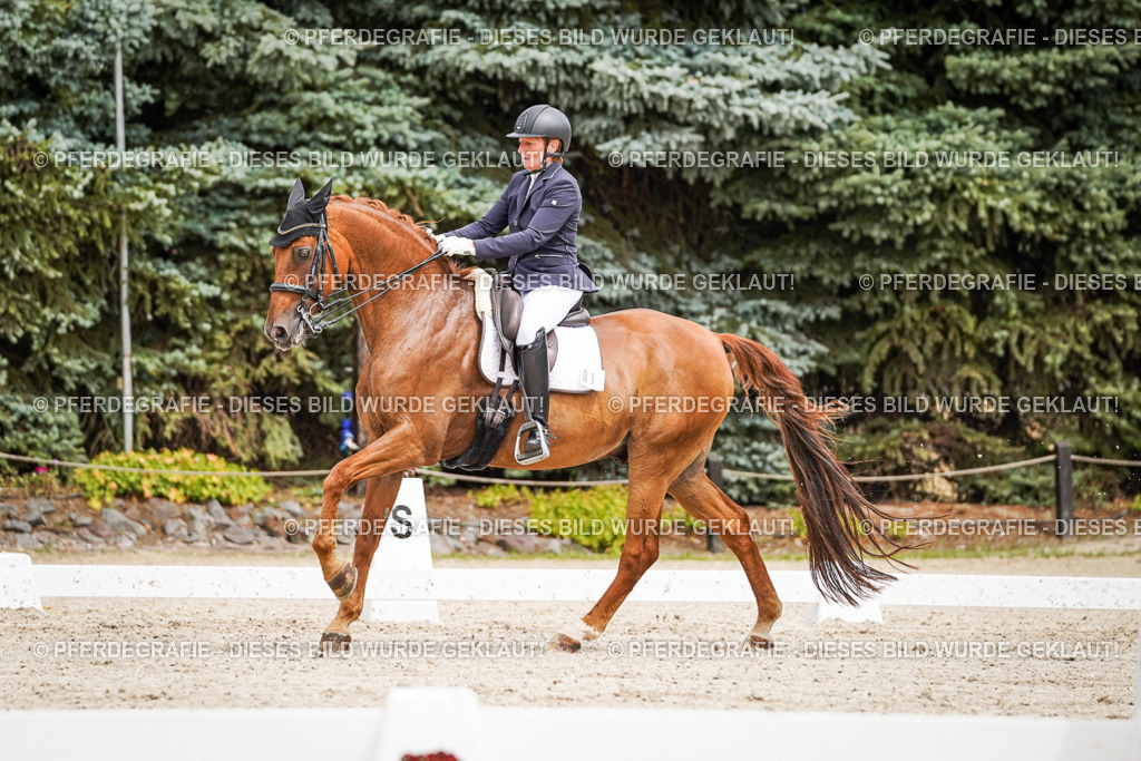 DSC04990 | Pferdegrafie