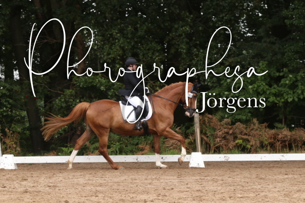 IMG_9640 | photographesa-joergens - Realisiert mit Pictrs.com