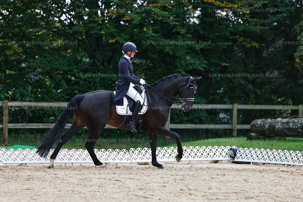 10-115-ST.GEORG SPECIAL -StoibPH-3193 | working equitationturnier fotograf videograf stoibphotography marixx film working equitation deutschland reitsport turnierfotografie eventfotografie equestrian events
