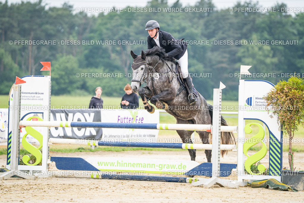 DSC09982 | Pferdegrafie