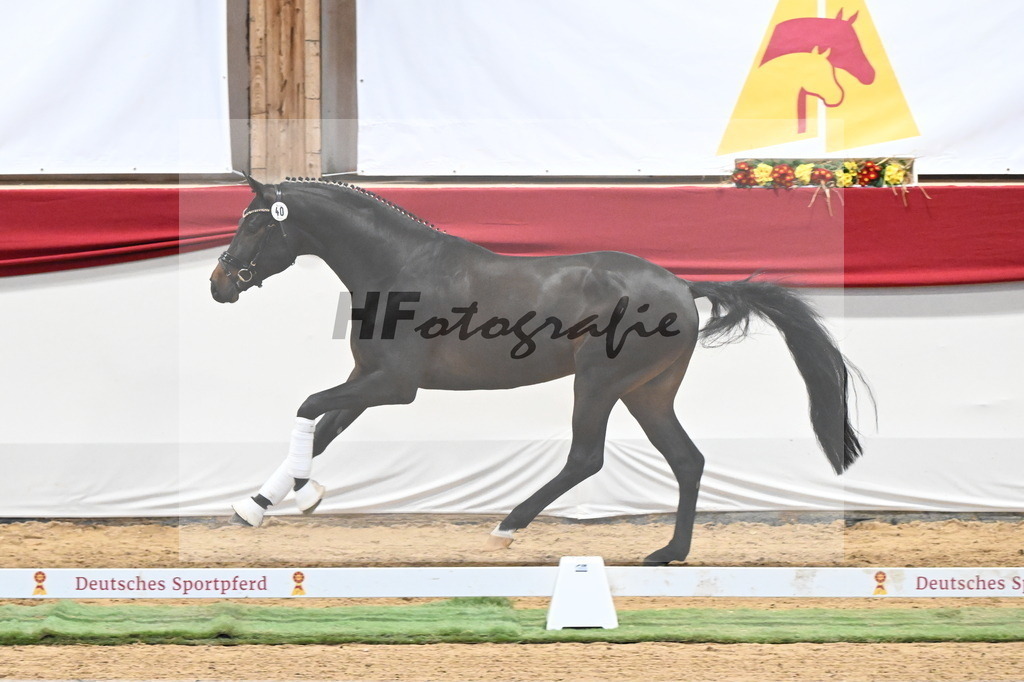 Kat.-Nr. 40 v. Despacito_Greim_3260243 | hf-fotografie - Realizzato con Pictrs.com