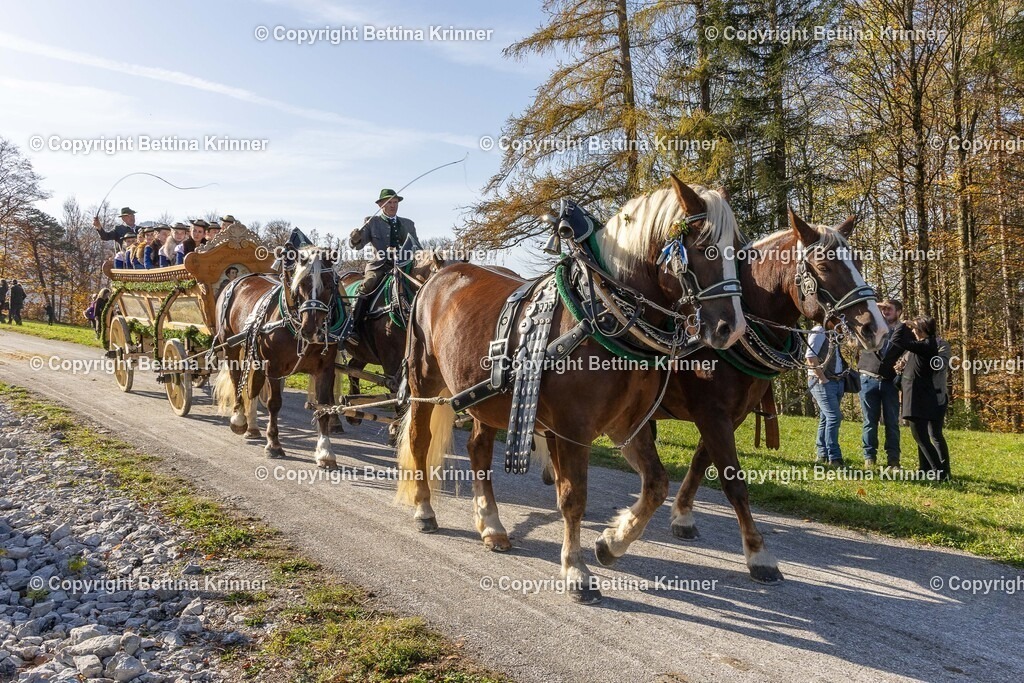 LBT24-1576 | foto-bettina-krinner - Realisiert mit Pictrs.com