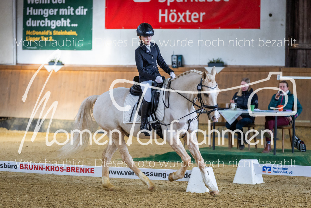 _M2A1885 | MomenTaufnahmen Pferdesportfotos