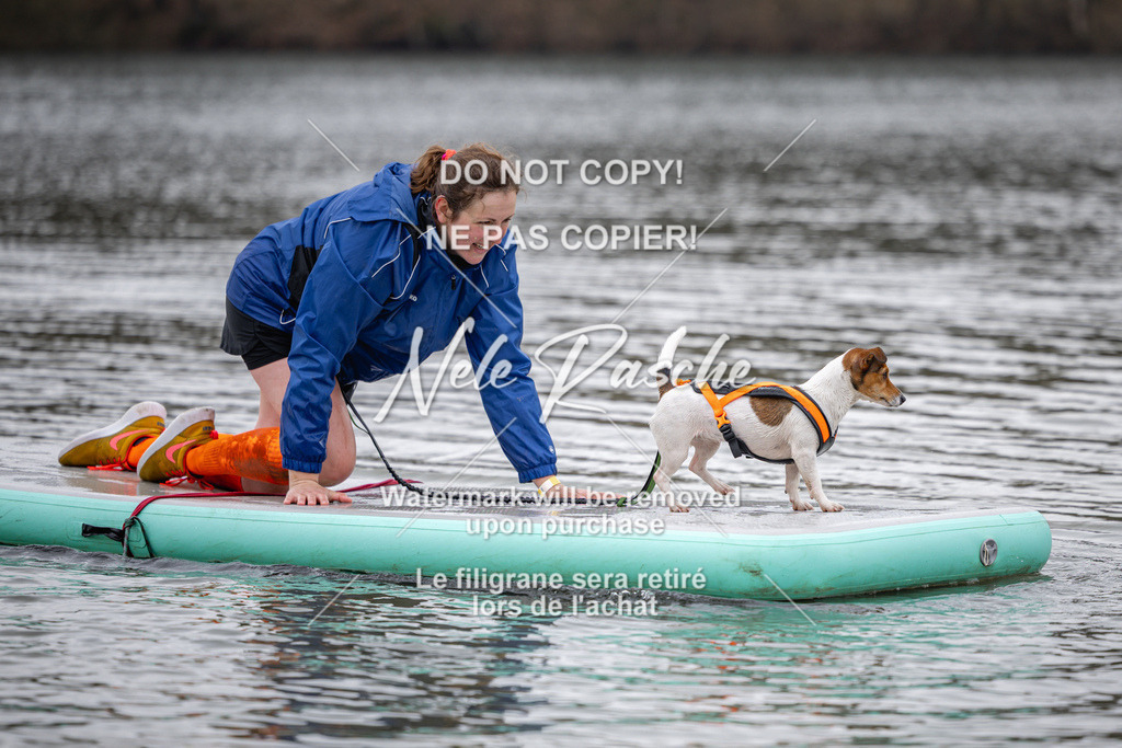 nelerasche_Hulsbeek_Sa1230-1330_663 | nelerasche