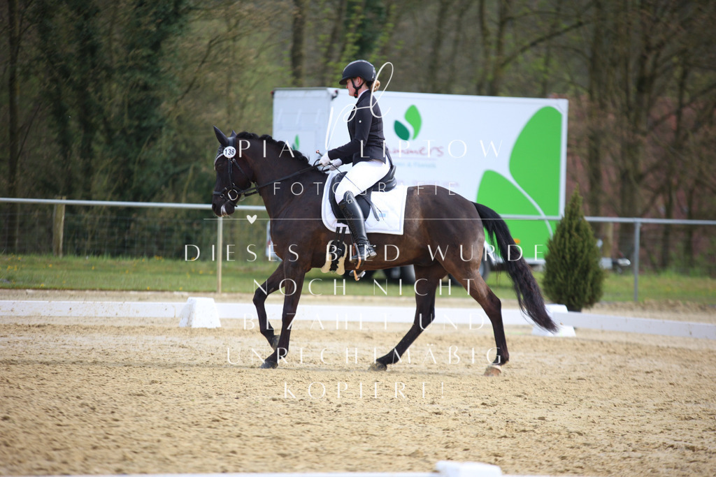 IMGT7013 | pl-fotografie