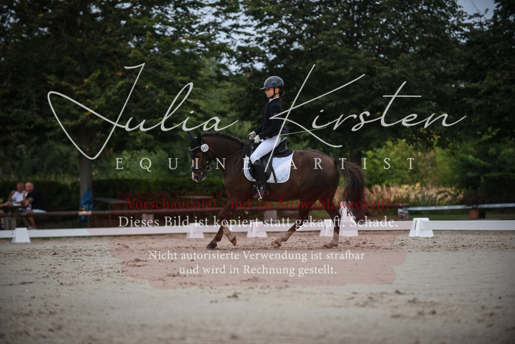 DSC_8170 | Pferde- und Turnierfotografie in Westsachsen. Pferdeportraits, Auftragszeichnungen und intuitive Kunst.