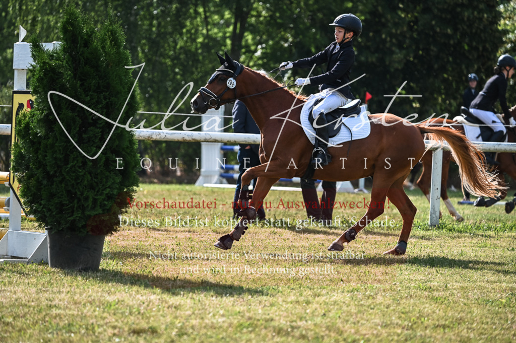 DSC_7783 | Pferde- und Turnierfotografie in Westsachsen. Pferdeportraits, Auftragszeichnungen und intuitive Kunst.