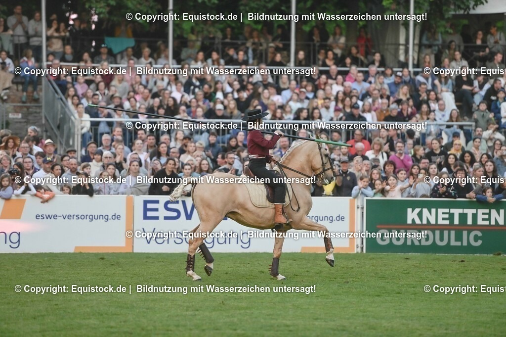 20230526_Pferdenacht_0788 | equistock