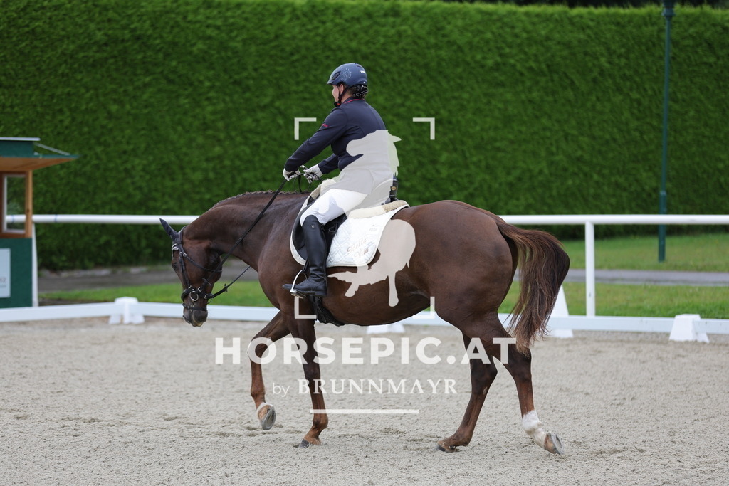 0P6A7899 | Willkommen bei Brunnmayr - Design & Fotografie – Ihrem Spezialisten für Reitturniere und Pferdeveranstaltungen in Oberösterreich, Salzburg und Bayern! Seit über 17 Jahren sind wir leidenschaftlich dabei.