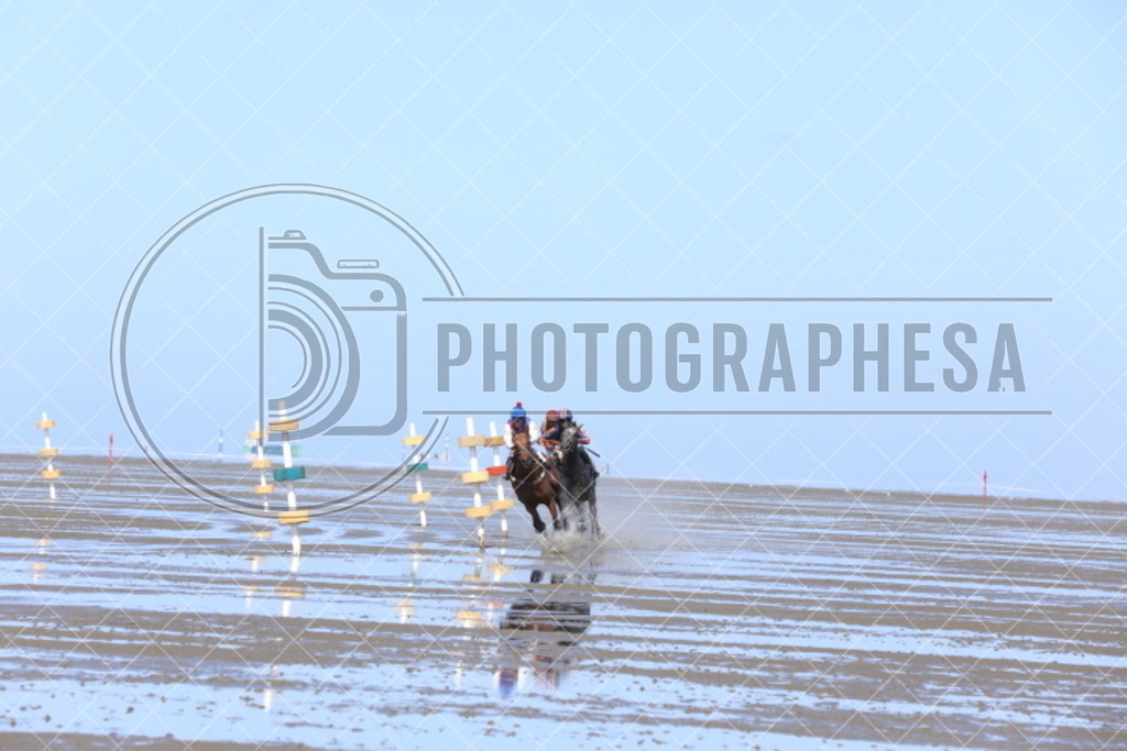 IMG_8893 | photographesa-joergens - Realisiert mit Pictrs.com