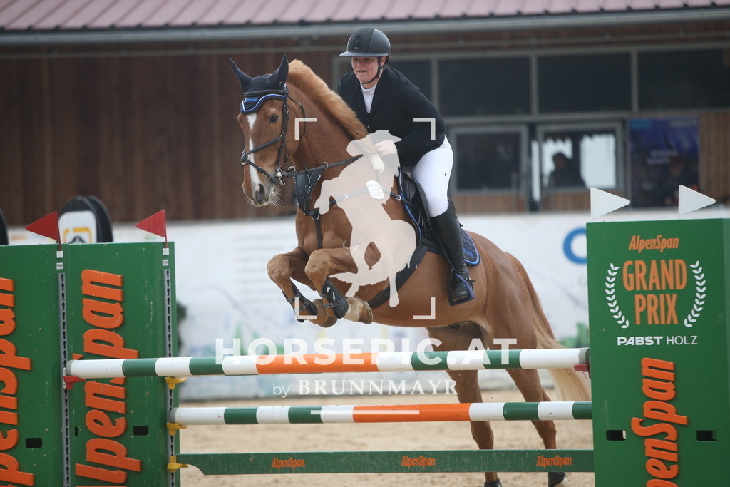 PP013082 | Willkommen bei Brunnmayr - Design & Fotografie – Ihrem Spezialisten für Reitturniere und Pferdeveranstaltungen in Oberösterreich, Salzburg und Bayern! Seit über 17 Jahren sind wir leidenschaftlich dabei.