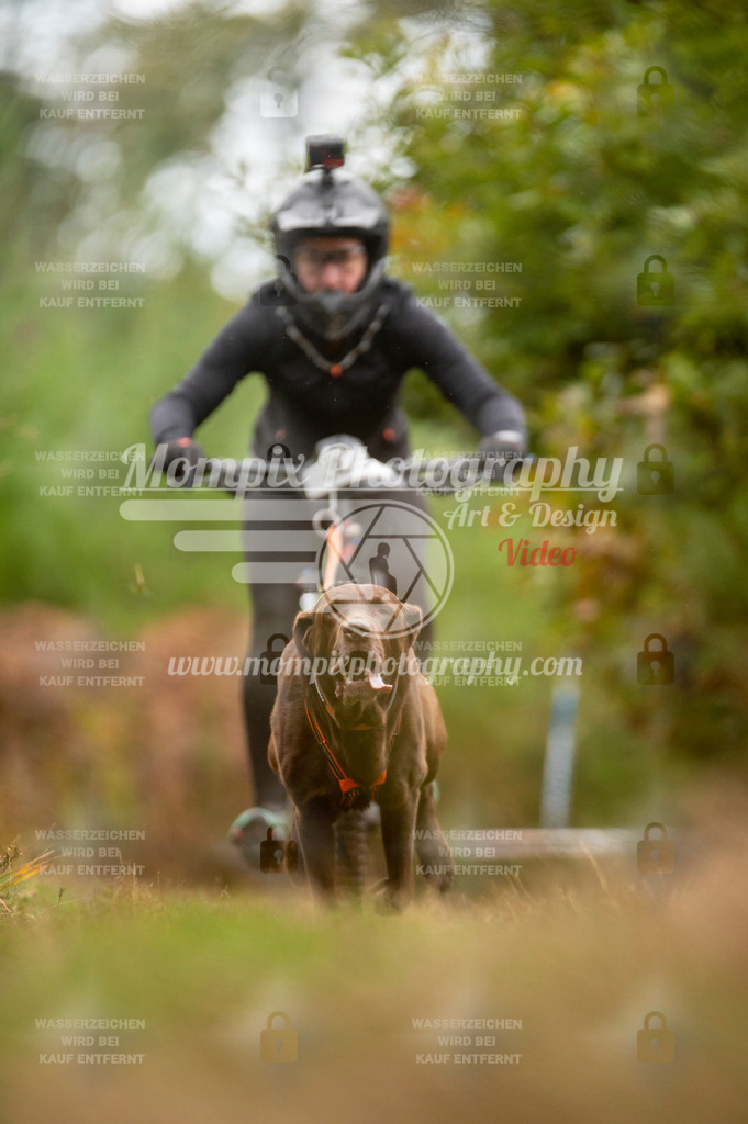 TSB_2023_E5_Bike-61 | PayLife