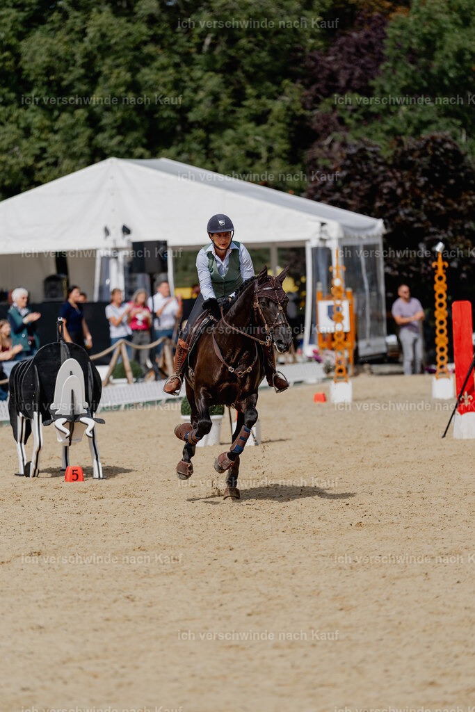Mirjam25_FHC2025-2812 | working equitationturnier fotograf videograf stoibphotography marixx film working equitation deutschland reitsport turnierfotografie eventfotografie equestrian events