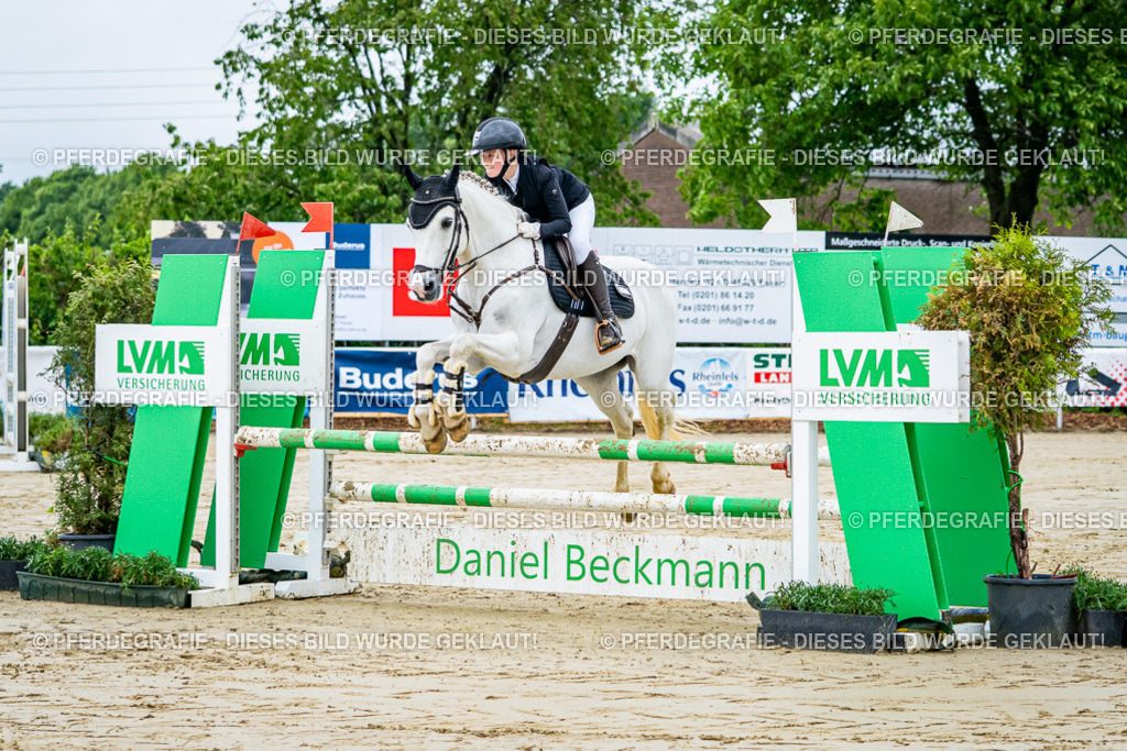 DSC01758 | Pferdegrafie