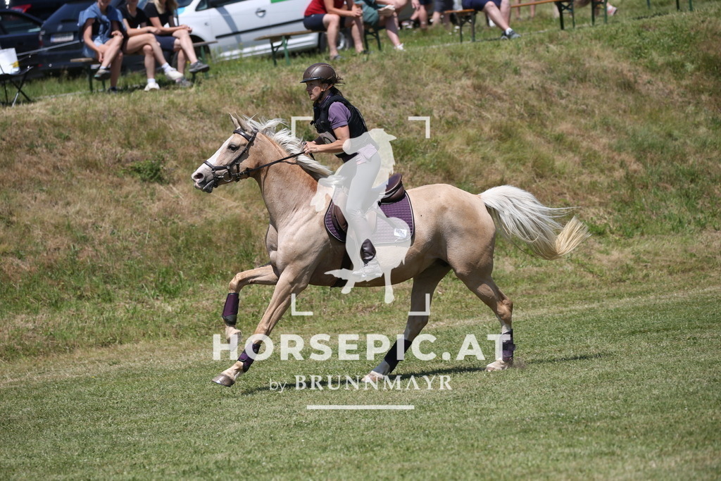 DL2Q1319 | Willkommen bei Brunnmayr - Design & Fotografie – Ihrem Spezialisten für Reitturniere und Pferdeveranstaltungen in Oberösterreich, Salzburg und Bayern! Seit über 17 Jahren sind wir leidenschaftlich dabei.