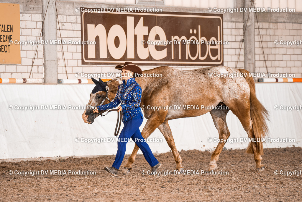 ZH200239 | dv-media-shop - Realisiert mit Pictrs.com