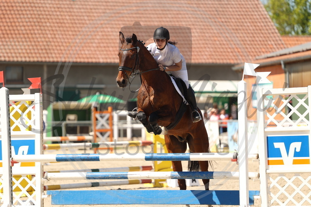 994A5774 | sabrinanicolaifotografie - Realisiert mit Pictrs.com