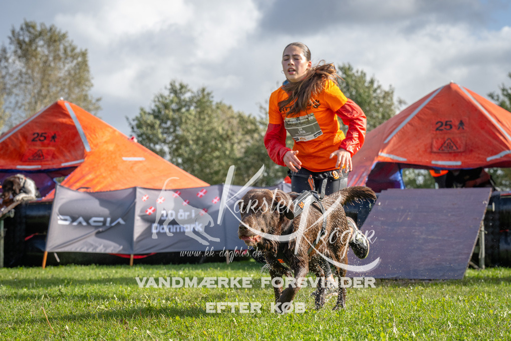 1229-93890 | kk-dogfotos