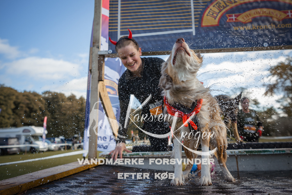 1308_ZZ99371-2 | kk-dogfotos