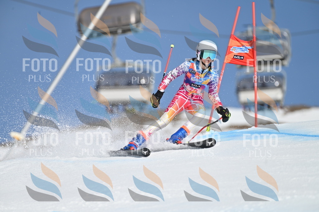 BGV_9030 | holidayphoto