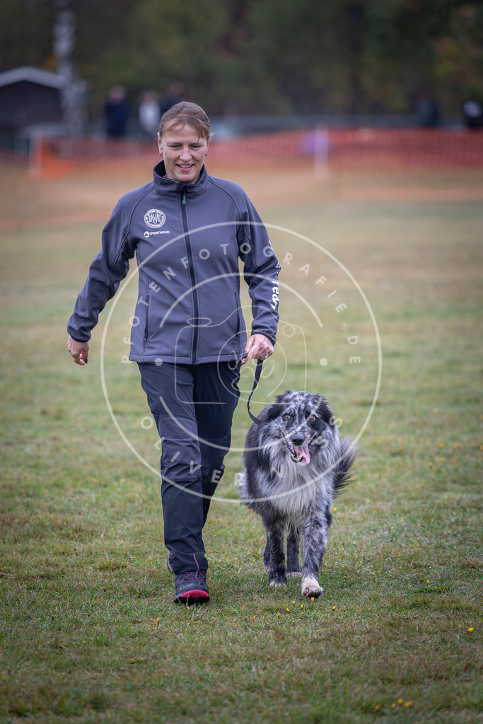 Pfotenfotografie_DV3A9458 | Hundefotografie, Tierfotograf, Pfotenfotografie, Fotoshooting Hund, Hunde Portrait, Hundesport, Hundeportraits, Heideshooting, Hunde, Sportfotograf, Hundefotograf, Turnierhundsport, THS,  - Realisiert mit Pictrs.com