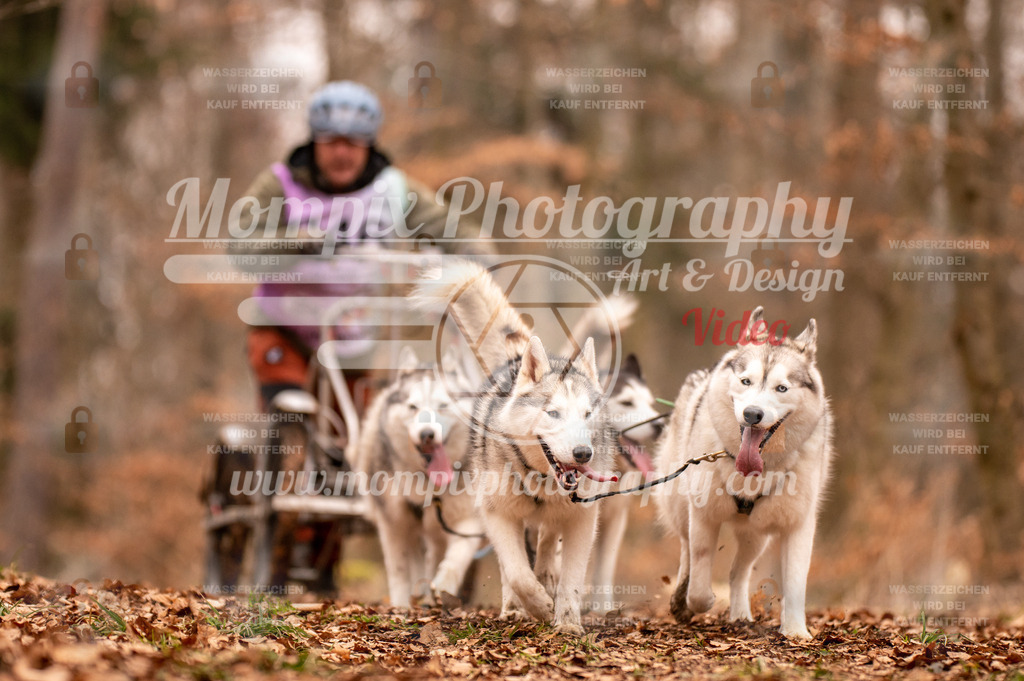 AKM_ST_2023_SAM_DR4-45 | PayLife