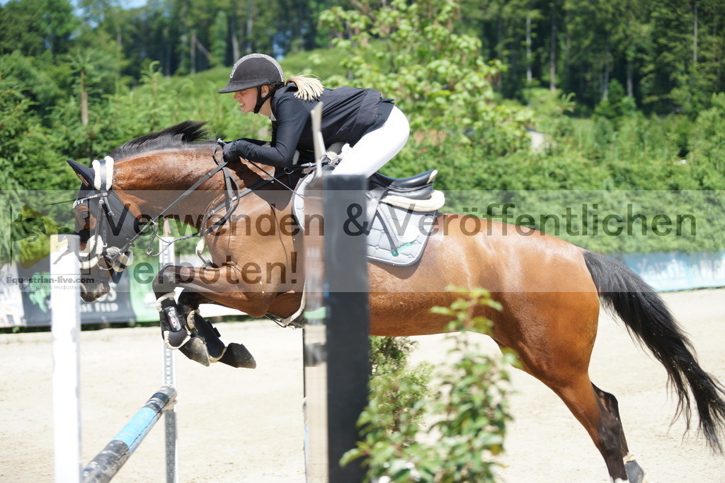 DSC09246 | equestrian-live-com