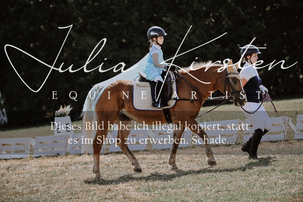 DSC_9026 | Pferde- und Turnierfotografie in Westsachsen. Pferdeportraits, Auftragszeichnungen und intuitive Kunst.