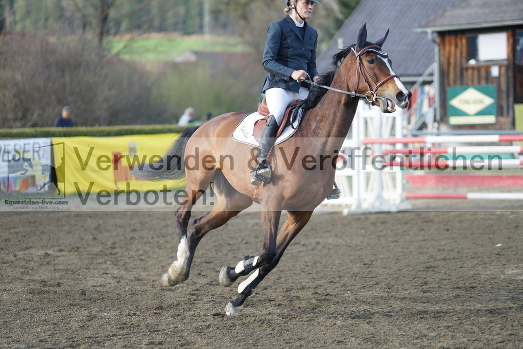 DSC03522 | equestrian-live-com