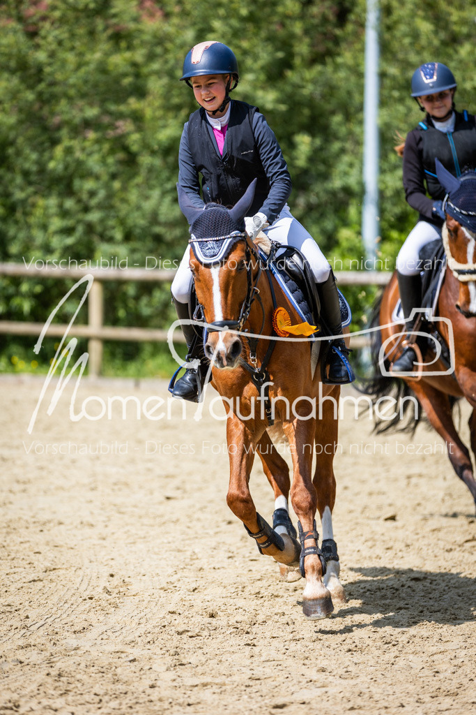 Donop24-SprRW-058 | MomenTaufnahmen Pferdesportfotos