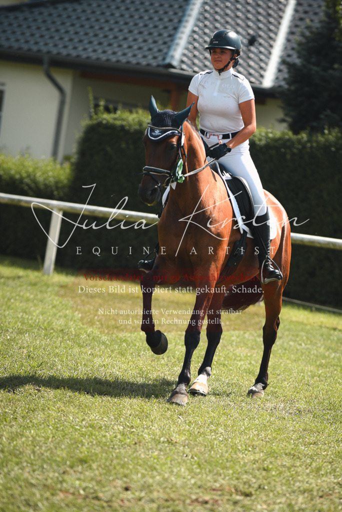 DSC_6850 | Pferde- und Turnierfotografie in Westsachsen. Pferdeportraits, Auftragszeichnungen und intuitive Kunst.