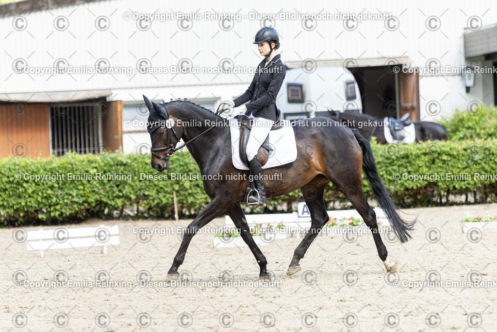 CL5A6039 | Emilia Reinking Fotografie - Realisiert mit Pictrs.com