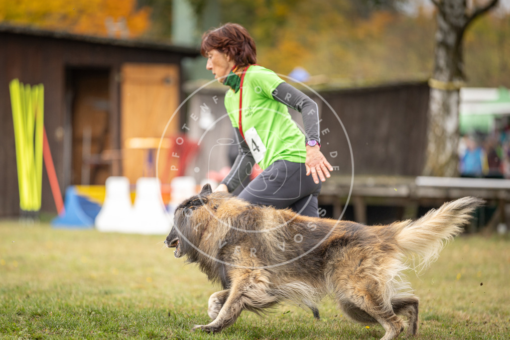 Pfotenfotografie_DV3A5508 | Hundefotografie, Tierfotograf, Pfotenfotografie, Fotoshooting Hund, Hunde Portrait, Hundesport, Hundeportraits, Heideshooting, Hunde, Sportfotograf, Hundefotograf, Turnierhundsport, THS,  - Realisiert mit Pictrs.com