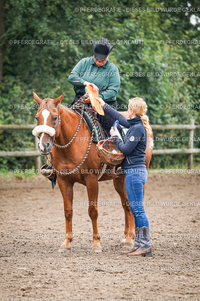 DSC01824 | Pferdegrafie